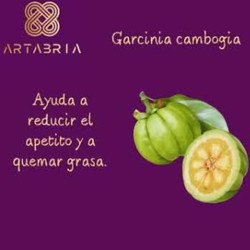 Café Funcional Artabria 5.0 – Estimula Metabolismo y Energía Natural | 30 Sobres