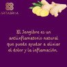 Café Funcional Artabria 5.0 – Estimula Metabolismo y Energía Natural | 30 Sobres